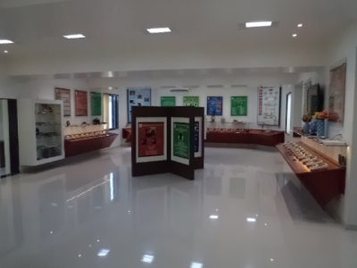 Model Room1